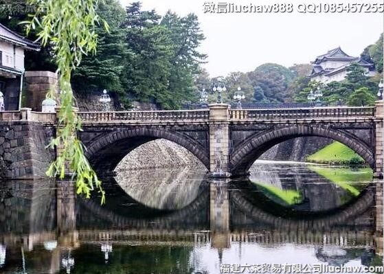 �ձ������������������ι���