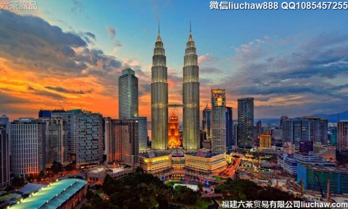 ��������������6�����ι���