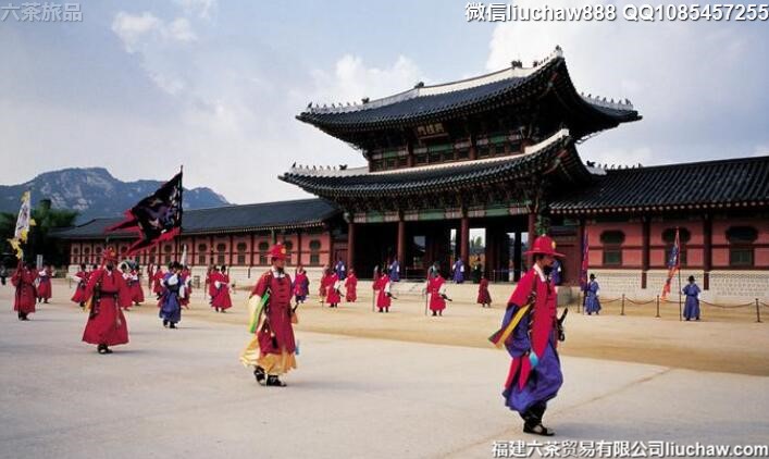 ����������5�����ι���