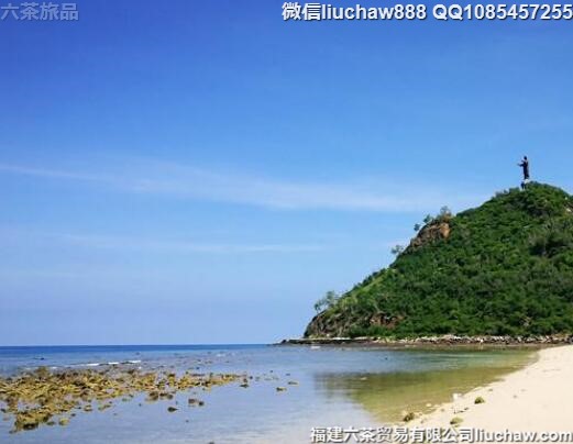 ������������4�����ι���