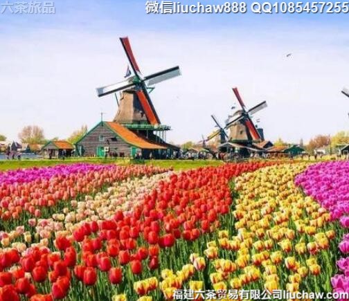 ����������9�����ι���