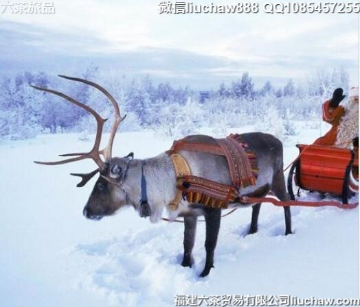 芬兰自由行极光圣诞村10日旅游攻略