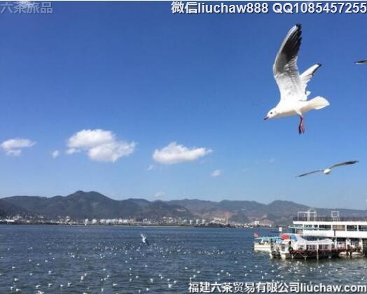 昆明自由行三日旅游攻略