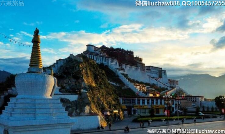 �����������������ι���