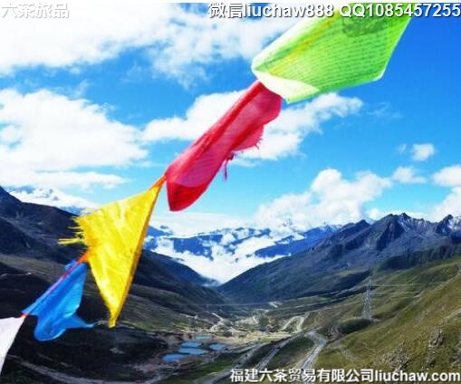 �������Լ�����ʮһ�����ι���