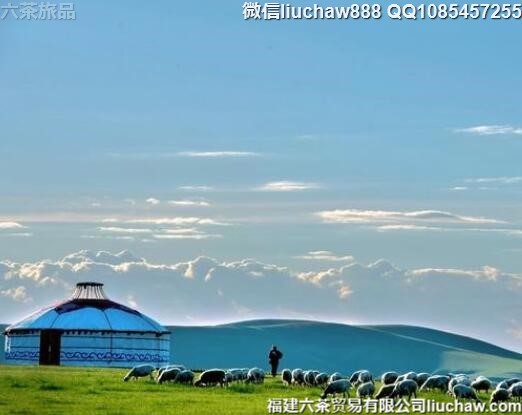 呼伦贝尔自由行五日旅游攻略