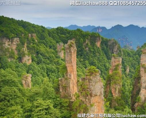 张家界自由行三日旅游攻略