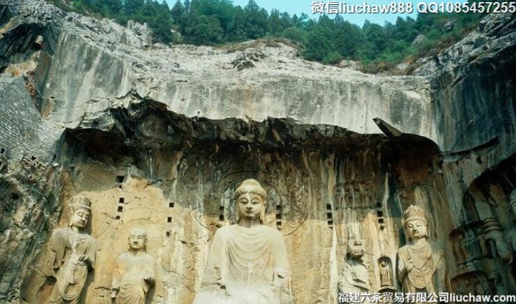 �����������������ι���