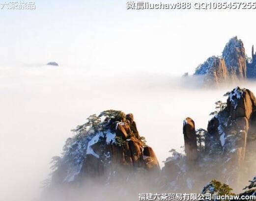 黄山自由行五日旅游攻略