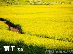 ����-����