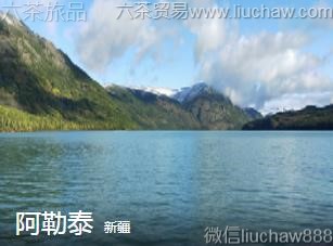 新疆-阿勒泰