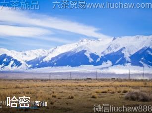 �½�-����