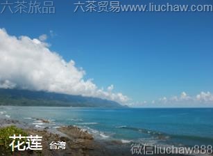 ̨��-����