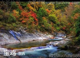 ����-����