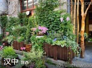 ����-����