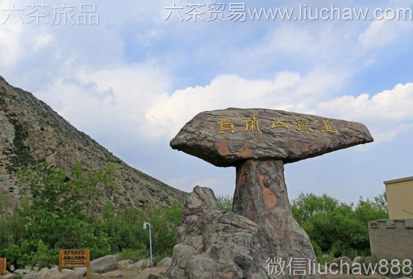 ����-����ɽ�һ�