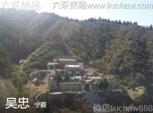 ����-����