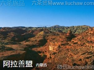 ���ɹ�-��������