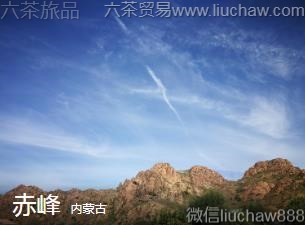 ���ɹ�-���