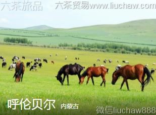 ���ɹ�-���ױ���