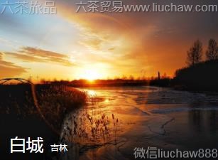 ����-�׳�