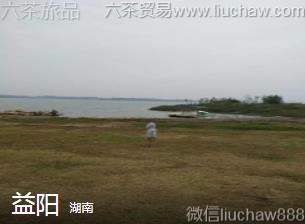 ����-����