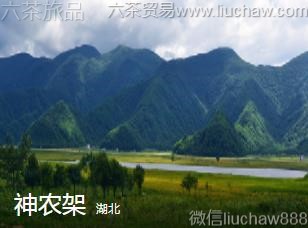 ����-������