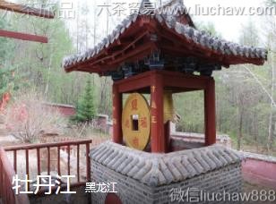 ������-ĵ����