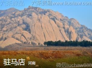 ����-פ����