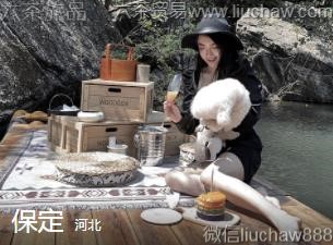 �ӱ�-����