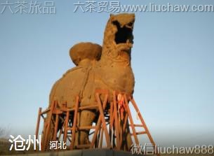 �ӱ�-����