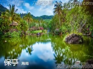 海南-保亭