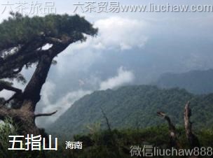 ����-��ָɽ