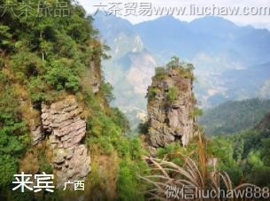 ����-����