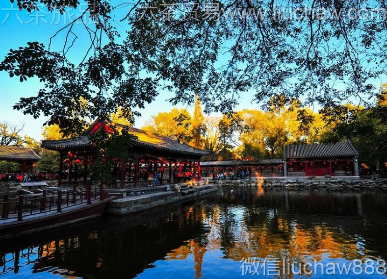 ����-������