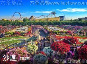 ������-ɳ��