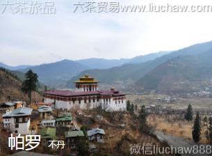 ����-����