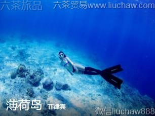 ���ɱ�-���ɵ�