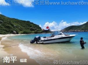 ����-��ƽ.