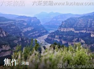 ����-����.