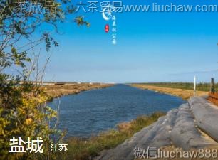 江苏-盐城.