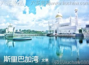 文莱-斯里巴加湾