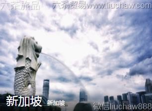 新加坡-新加坡