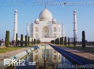 印度-阿格拉
