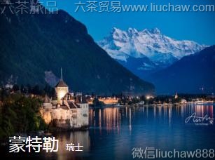 ��ʿ-������