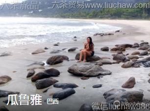 ����-��³��