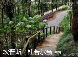 ����-����˹����������