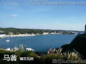 ��������-����