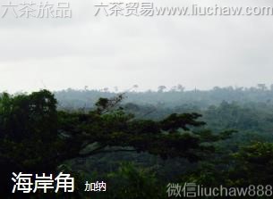 ����-������