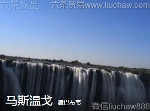 ��Ͳ�Τ-��˹�¸�